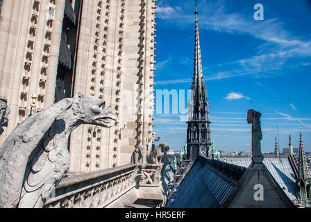 Cityscape fotografata dalla cima della cattedrale di Notre Dame, con mascheroni, a Parigi, Francia Foto Stock