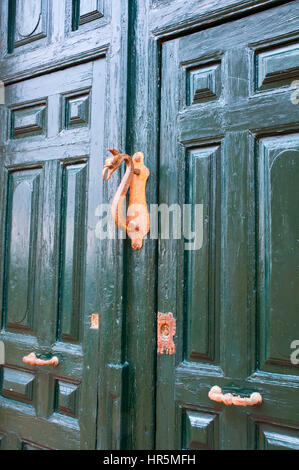 Legno verniciato porta e golden respingente. Foto Stock