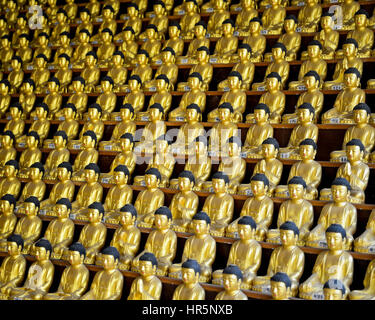 Busan, Corea del Sud - 15 Marzo 2016: le righe del golden piccole statue di Buddha in Busan, Corea del Sud. Foto Stock