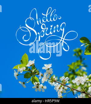 Fioritura molla albero nel giardino vicino e testo Ciao molla. Calligraphy lettering. Foto Stock