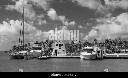 Kaibo Marina e le sue barche nei Caraibi, Grand Cayman, Isole Cayman Foto Stock