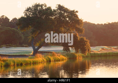 Questo paesaggio mostra la Kiawah Island Club del corso del fiume campo da golf nella luce del mattino. Kiawah Island, nella Carolina del Sud. Foto Stock