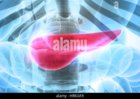 3D illustrazione del Pancreas - parte del sistema digestivo, concetto medico. Foto Stock