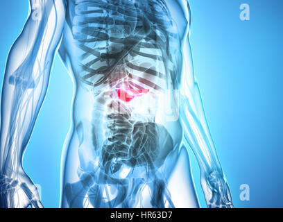 3D illustrazione del Pancreas - parte del sistema digestivo, concetto medico. Foto Stock