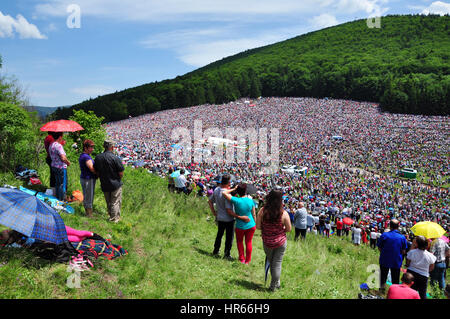 SUMULEU Ciuc, Romania - 6 giugno 2014: folla di ungherese pellegrini cattolici raduno a Csiksomlyo per celebrare la Pentecoste Foto Stock