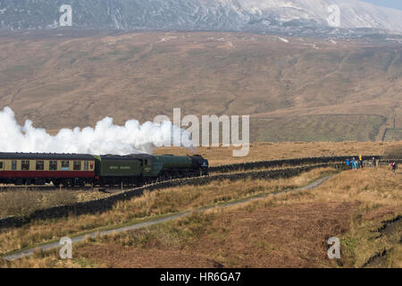 Sbuffando fumo, locomotiva n. 60163 Tornado ( Peppe A1 pacifico) viaggia attraverso Ribblesdale, passando pendici coperte di neve Whernside. Foto Stock