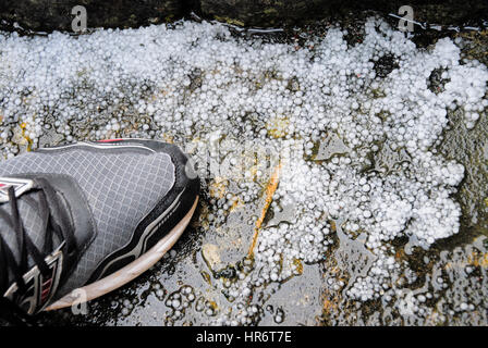 Portland, Dorset, Regno Unito. Il 27 febbraio, 2017. Meteo. Una improvvisa grandinata termina un gelido, giorno piovoso e lascia un cielo riempito con le nuvole colorate su Chesil Beach Credito: stuart fretwell/Alamy Live News Foto Stock