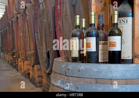 Una bellissima vista della cantina Contini, vitigno Vernaccia di Cabras, Sinis, Sardegna, Italia Foto Stock