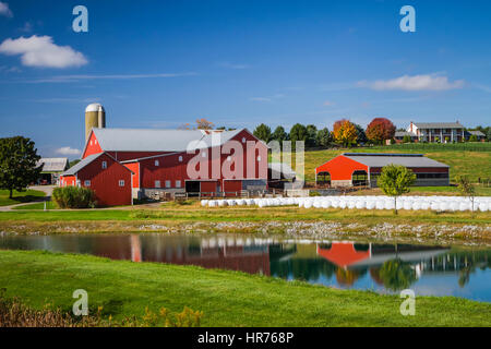 Una fattoria Amish vicino Walnut Creek, Ohio, Stati Uniti d'America. Foto Stock