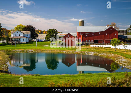 Una fattoria Amish vicino Walnut Creek, Ohio, Stati Uniti d'America. Foto Stock