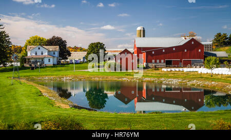 Una fattoria Amish vicino Walnut Creek, Ohio, Stati Uniti d'America. Foto Stock