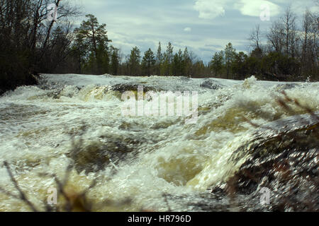 Viev da valle del piccolo fiume nella foresta. Il rumore di flusso Foto Stock