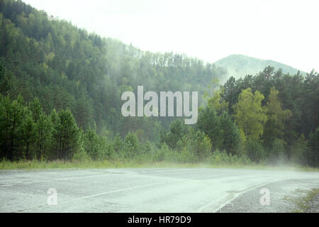 Foresta sempreverde panoramica. Cime di alti alberi verdi con fitta nebbia laminazione su . Montagne di Altai dopo la pioggia. Foto Stock