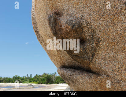 Scultura naturale di squalo di pesce sulla pietra di granito, Seychelles Island. Foto Stock