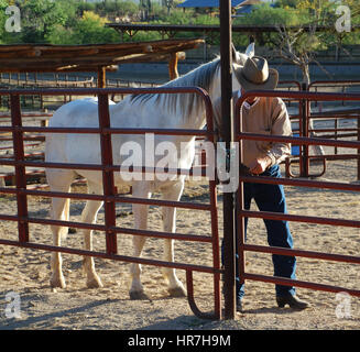Tanque Verde Ranch, Tucson, Arizona USA Foto Stock