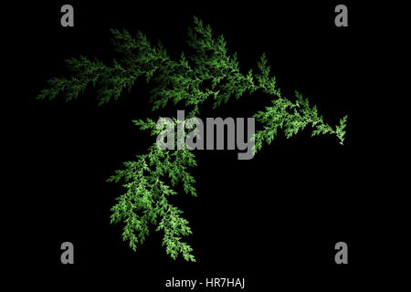 Foglia verde pino. Abstract background. Isolato su sfondo nero. Foto Stock
