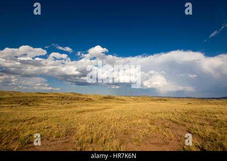 Del Wyoming ampi spazi aperti Foto Stock