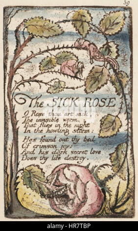 "The Sick Rose" di William Blake, "Songs of Innocence and of Experience", esplora temi di corruzione e innocenza. Attraverso immagini simboliche, Blake usa la metafora di una rosa malata per riflettere sulla perdita della purezza e sulle forze distruttive nella società. Foto Stock