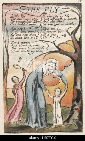 "Songs of Innocence and of Experience" di William Blake, include l'illustrazione "The Fly", che esplora i temi della vita e della morte attraverso l'immagine di un semplice insetto. Lo stile unico di Blake utilizza un forte contrasto e dettagli vividi per riflettere i toni filosofici dell'esistenza umana, enfatizzando l'innocenza e la vulnerabilità. Foto Stock