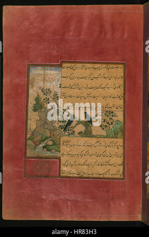 Zahir al-Din Muhammad Babur - Uccelli di Hindustan - storni, chiamato Pandavali - Walters W59631A - Pagina completa Foto Stock