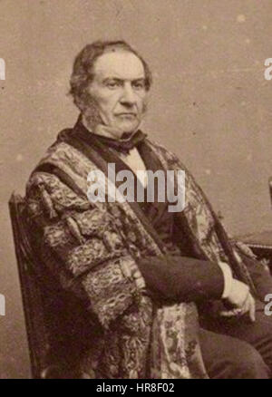 Questo ritratto di William Ewart Gladstone, lo statista britannico, lo mostra nelle sue vesti formali. Gladstone fu il primo ministro del Regno Unito diverse volte e fu influente nel plasmare le politiche del XIX secolo. Foto Stock