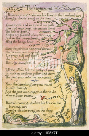 Il Matrimonio del Cielo e l'Inferno copia C 1790 Morgan Library and Museum oggetto 2 Foto Stock