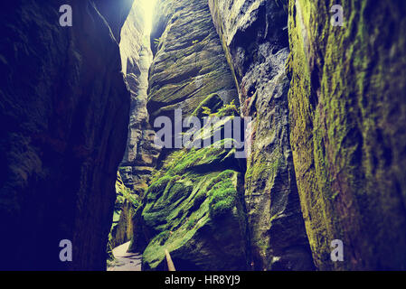 Fantastica vista del canyon verde della Siberia. Teplice-Adrspach Rock Town. Repubblica ceca. Foto artistiche. Bellezza Mondo. Foto Stock