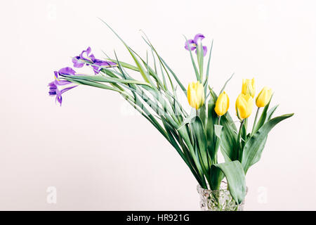 Iridi viola e tulipani gialli in un vaso su un sfondo beige, close-up Foto Stock