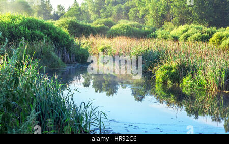 Sunny mattinata estiva su riverfor buon umore Foto Stock