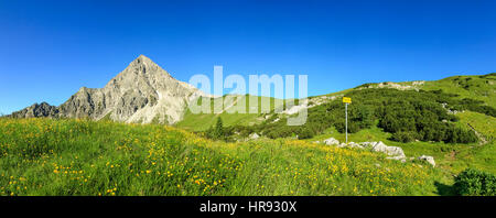 Escursioni sul prato di fiori e ripida montagna. signpost dà indicazioni. Foto Stock