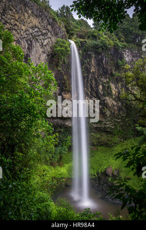 Bridal Veil Falls, Isola del nord, Nuova Zelanda Foto Stock