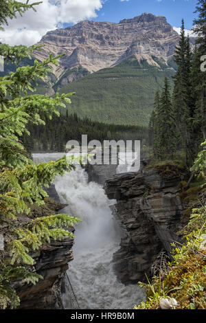 L'acqua che cade con potenza sulle rocce del Canyon Maligne in Alberta, Canada Foto Stock