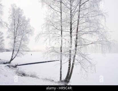 Paesaggio invernale in una nebbiosa giornata al Sognsvann, un popolare per escursioni e sci punto di partenza in Oslo Norvegia, accessibile mediante la metropolitana linea n. 5 Foto Stock