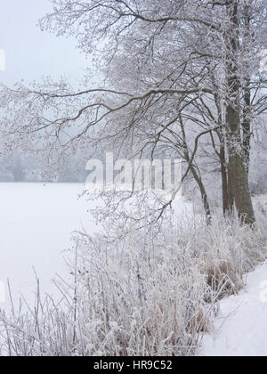 Paesaggio invernale in una nebbiosa giornata al Sognsvann, un popolare per escursioni e sci punto di partenza in Oslo Norvegia, accessibile mediante la metropolitana linea n. 5 Foto Stock