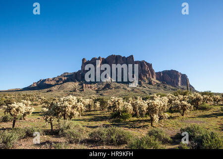 Lost Dutchman State Park, Arizona. Foto Stock