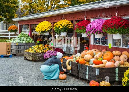 Una produzione agricola di vendita del mercato zucche e zucche vicino Walnut Creek, Ohio, Stati Uniti d'America. Foto Stock