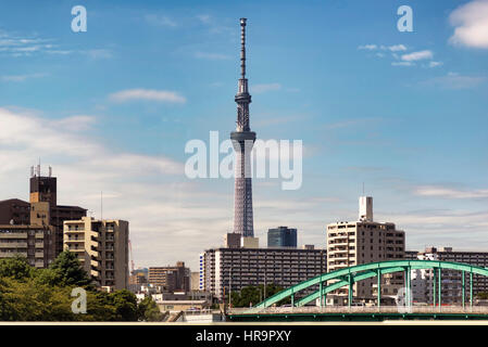 Tokyo Skytree è una radiodiffusione, ristorante, e la torre di osservazione a Sumida, Tokyo, Giappone. È diventato il più alto struttura in Giappone nel 2010 e raggiungere Foto Stock