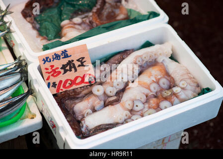 Ameya-Yokocho è un mercato all'aperto nella Vigilanza Taito di Tokyo, Giappone, situato accanto alla stazione di Ueno. Il mercato è di circa 164,227 piedi quadrati ho Foto Stock