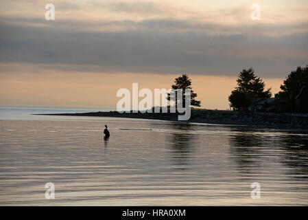 Inglese estuario del fiume al Surfside Bay che fluisce nell'oceano al Georgia rettilinei tra la terraferma e l'isola di Vancouver in BC Canada. Foto Stock