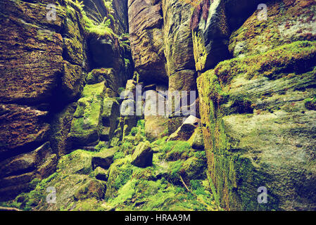 Fantastica vista del canyon verde della Siberia. Teplice-Adrspach Rock Town. Repubblica ceca. Foto artistiche. Bellezza Mondo. Foto Stock