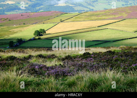 Bordo Stanage in th UK Parco Nazionale di Peak District Foto Stock