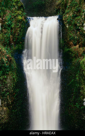 Multnomah Falls, Columbia River Gorge Foto Stock