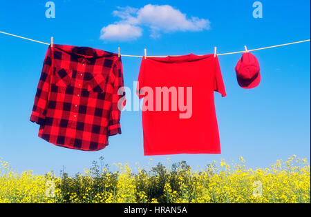 Red vestiti appesi sulla linea di abbigliamento in una fioritura di canola field Foto Stock