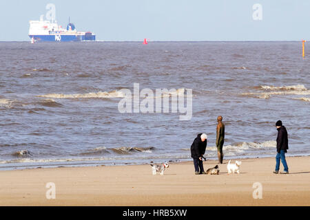 Crosby, Liverpool, Regno Unito. 1 Mar, 2017. Regno Unito Meteo nel Merseyside. Persone e cane walkers sul Crosby spiaggia vicino Liverpool, godendo il primo giorno di primavera. Un giorno di docce e luce del sole ma con una aspettativa di temperature più calde a seguire. Credito: Cernan Elias/Alamy Live News Foto Stock