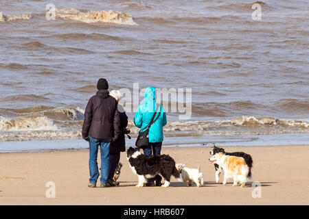 Crosby, Liverpool, Regno Unito. 1 Mar, 2017. Regno Unito Meteo nel Merseyside. Persone e cane walkers sul Crosby spiaggia vicino Liverpool, godendo il primo giorno di primavera. Un giorno di docce e luce del sole ma con una aspettativa di temperature più calde a seguire. Credito: Cernan Elias/Alamy Live News Foto Stock