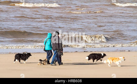 Crosby, Liverpool, Regno Unito. 1 Mar, 2017. Regno Unito Meteo nel Merseyside. Persone e cane walkers sul Crosby spiaggia vicino Liverpool, godendo il primo giorno di primavera. Un giorno di docce e luce del sole ma con una aspettativa di temperature più calde a seguire. Credito: Cernan Elias/Alamy Live News Foto Stock