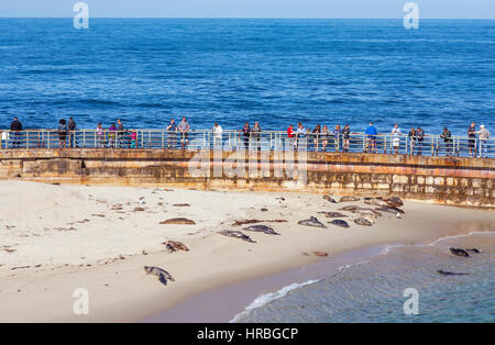 La gente sulla piscina per bambini Spiaggia seawall su un giorno d'inverno. La Jolla, California. Foto Stock