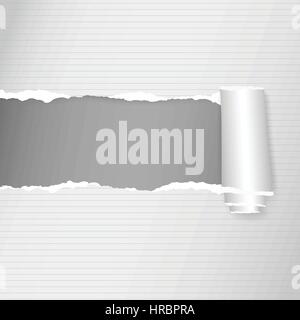 E laminato bianco strappato governata notebook pagina della carta. Copia grigio spazio Illustrazione Vettoriale