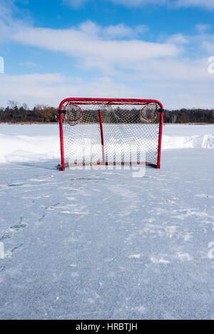 Un'immagine verticale di un hockey net con red posti seduti sul ghiaccio del laghetto appena cancellato di neve in Stouffville Ontario in Canada. Foto Stock