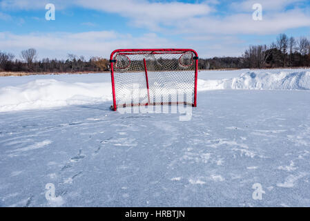 Una rete di hockey con metallo rosso posti si siede sul ghiaccio del laghetto situato in Stouffville Ontario in Canada. Foto Stock